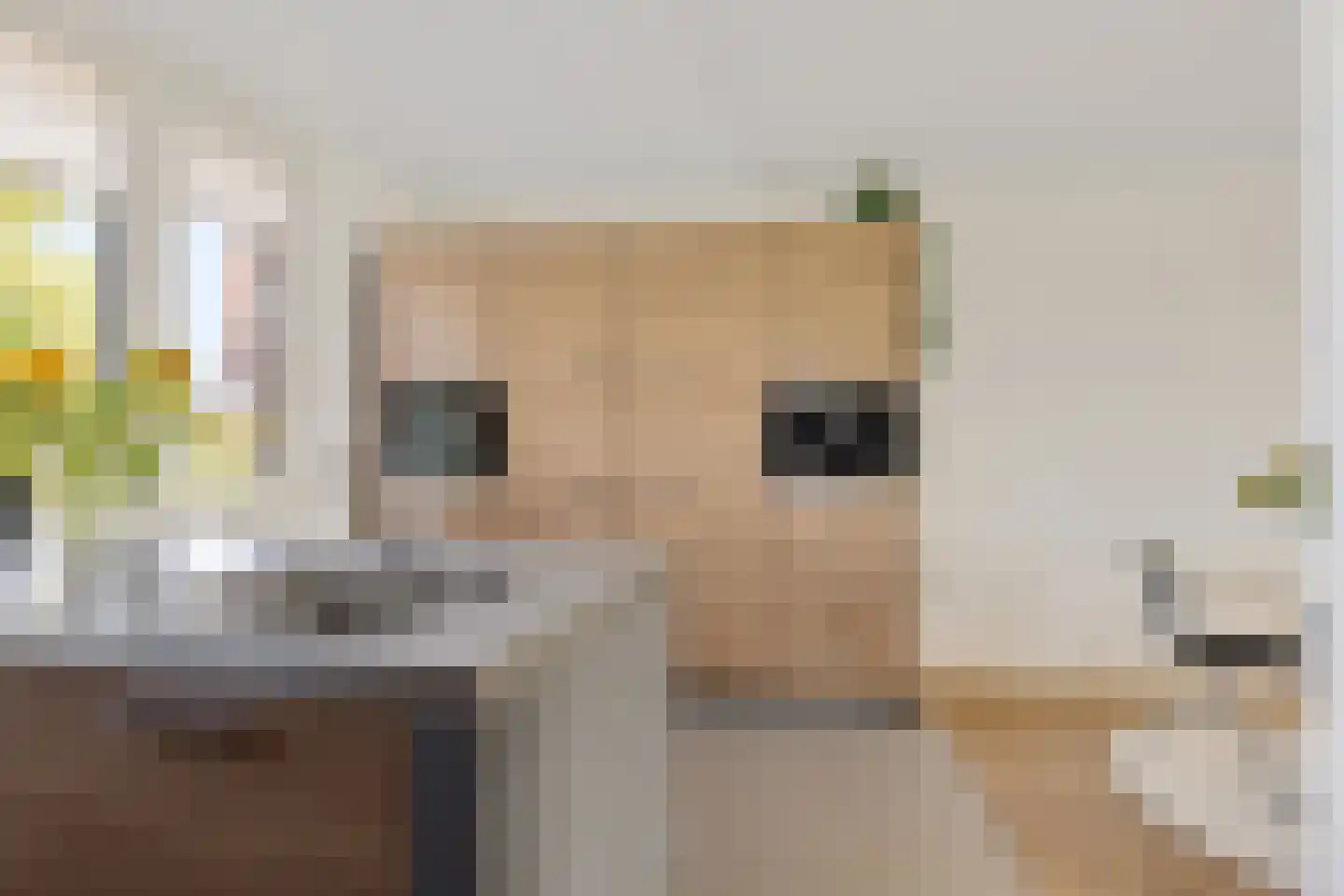 Kleine vos 24 Sneek thumbnail 22