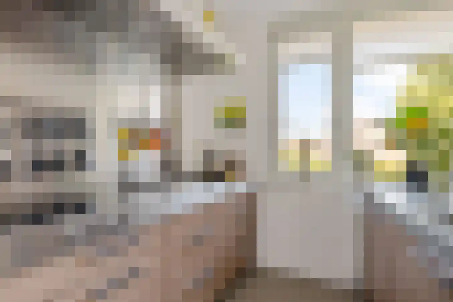 Kleine vos 24 Sneek thumbnail 23