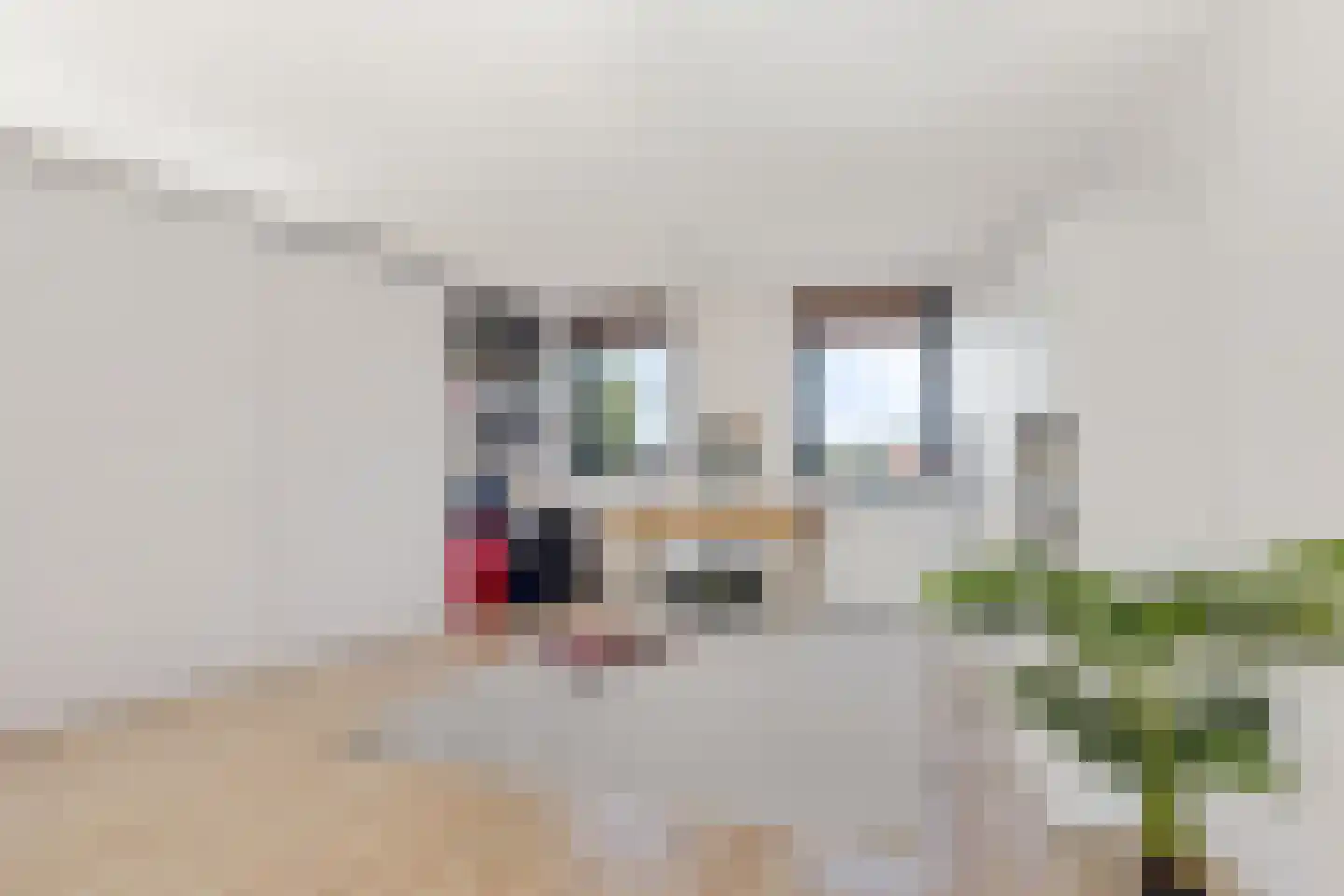 Kleine vos 24 Sneek thumbnail 39