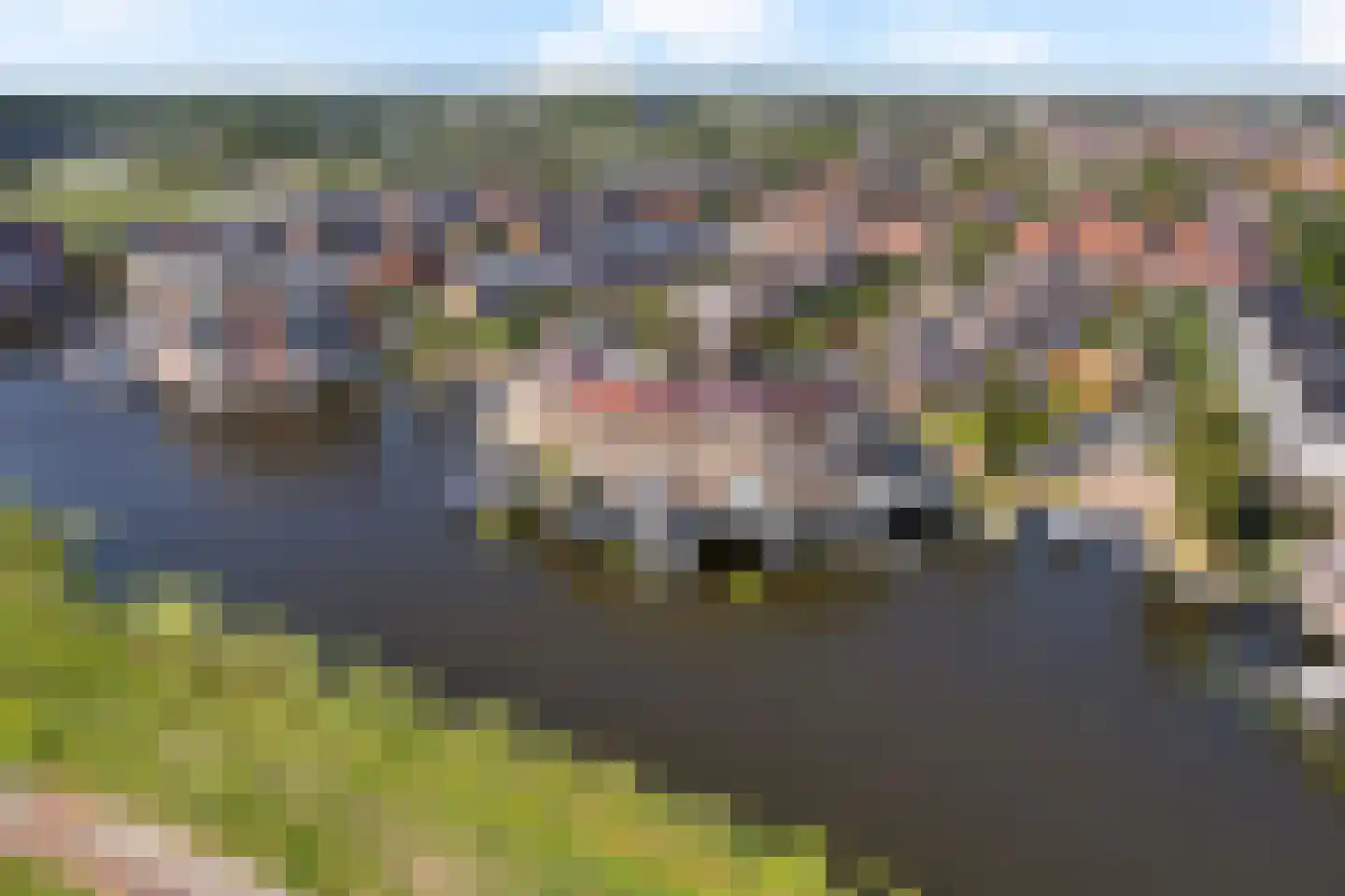 Kleine vos 24 Sneek thumbnail 46