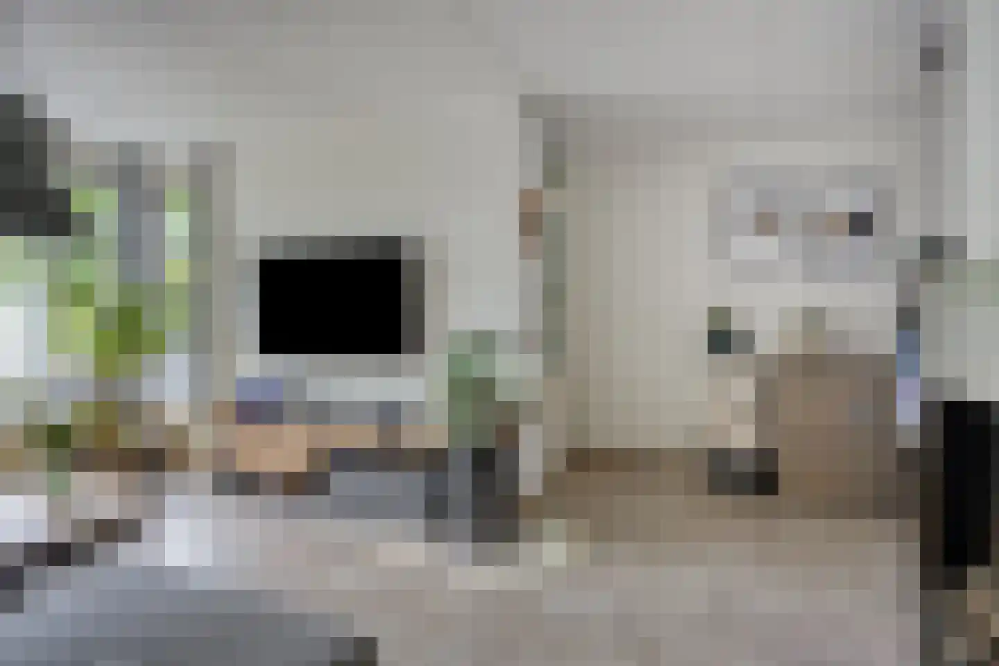 Kleine Vos 26 Breda thumbnail 10