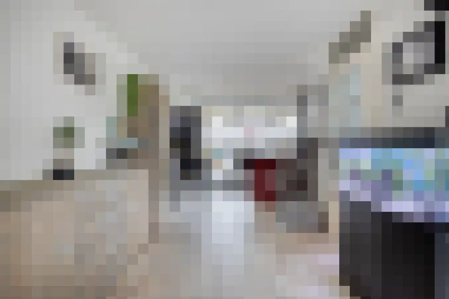 Kleine Vos 26 Breda thumbnail 13
