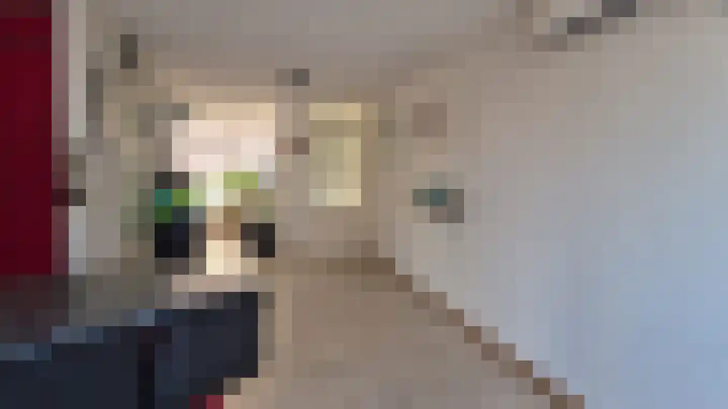 Kleine Vos 26 Breda thumbnail 14