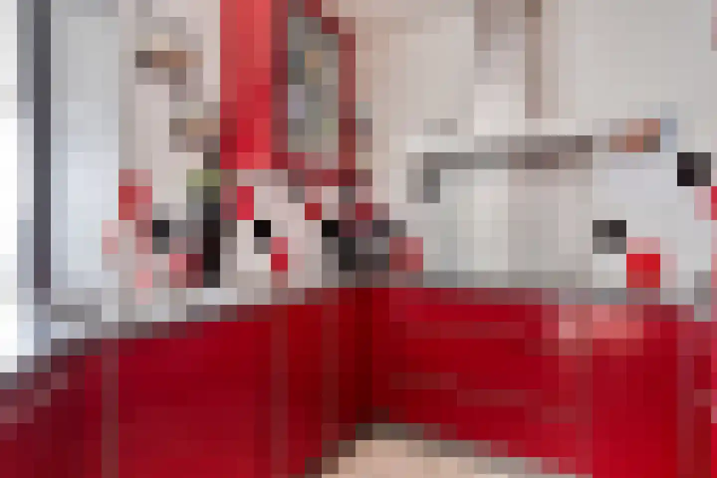 Kleine Vos 26 Breda thumbnail 17
