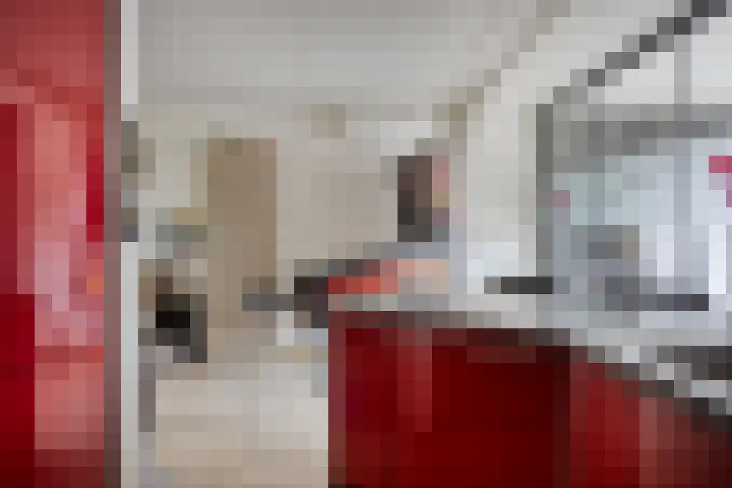 Kleine Vos 26 Breda thumbnail 20