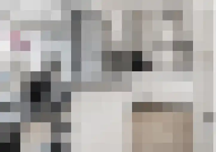 Kleine Vos 26 Breda thumbnail 21