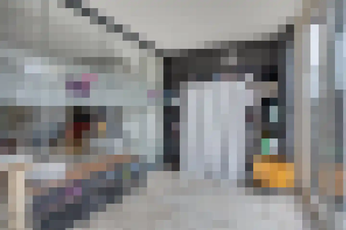 Kleine Vos 26 Breda thumbnail 23