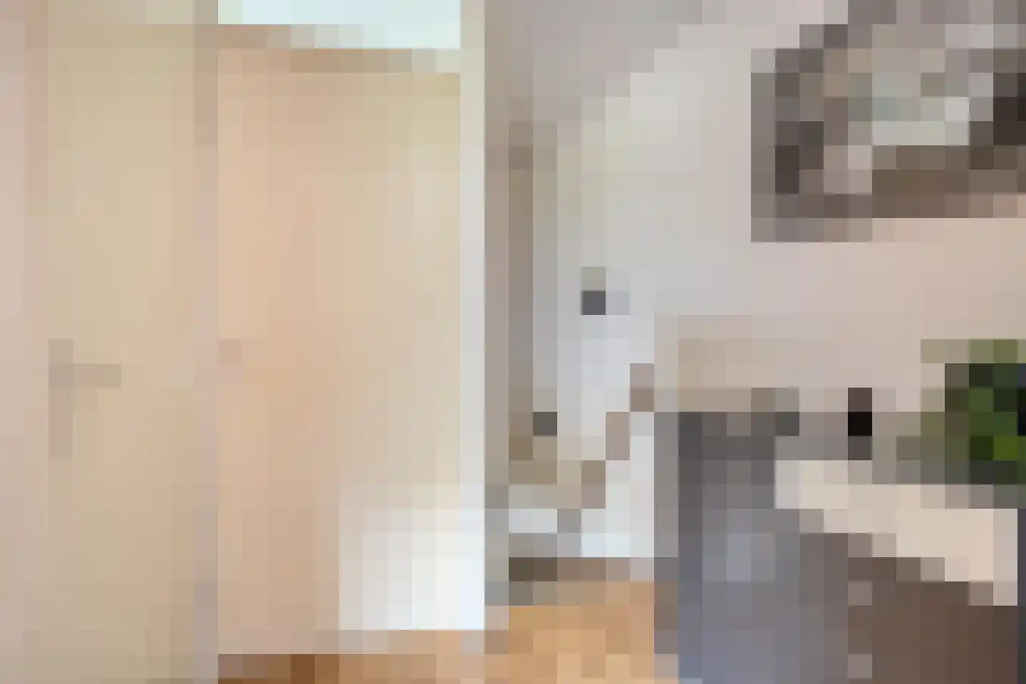 Kleine Vos 26 Breda thumbnail 24