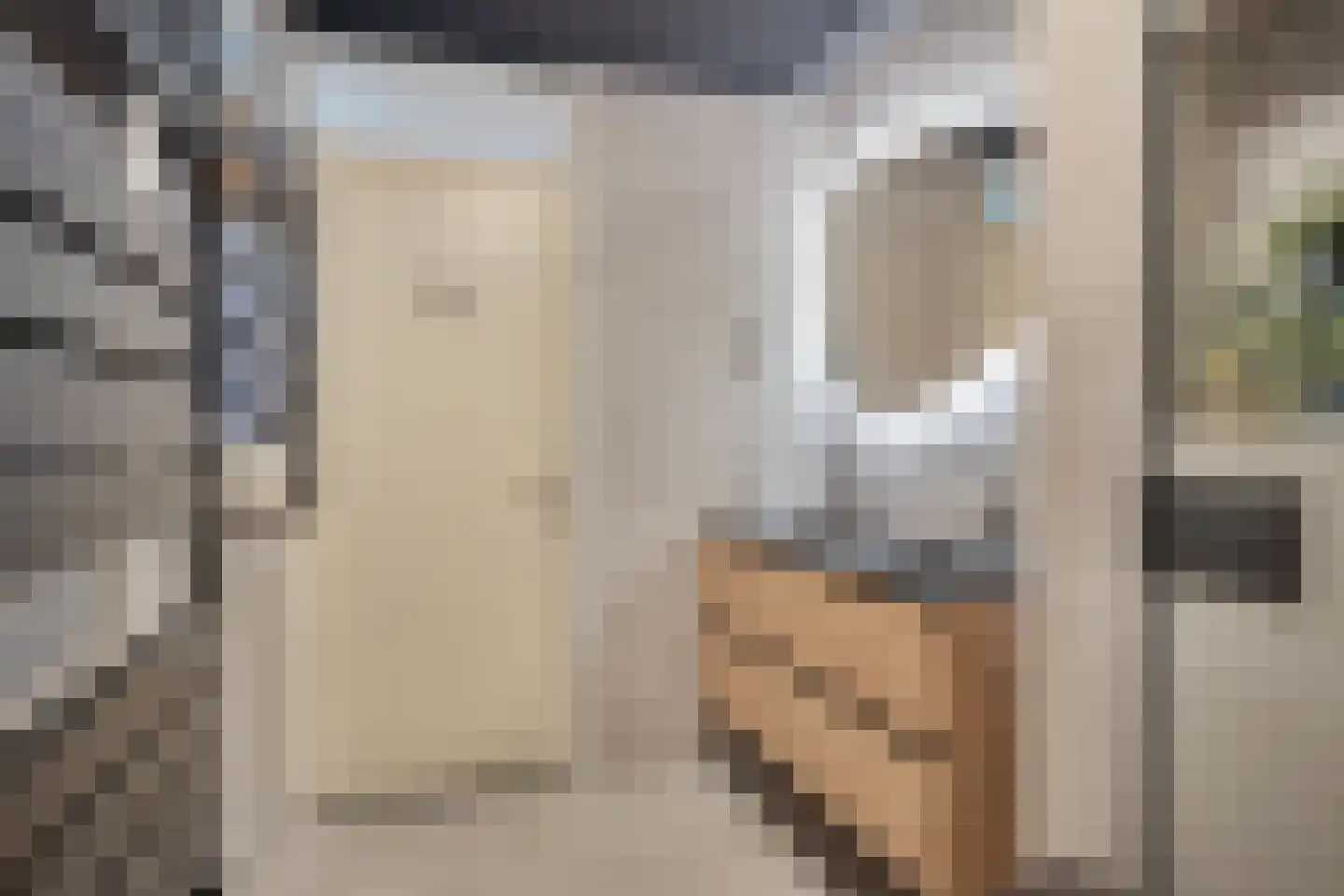 Kleine Vos 26 Breda thumbnail 30