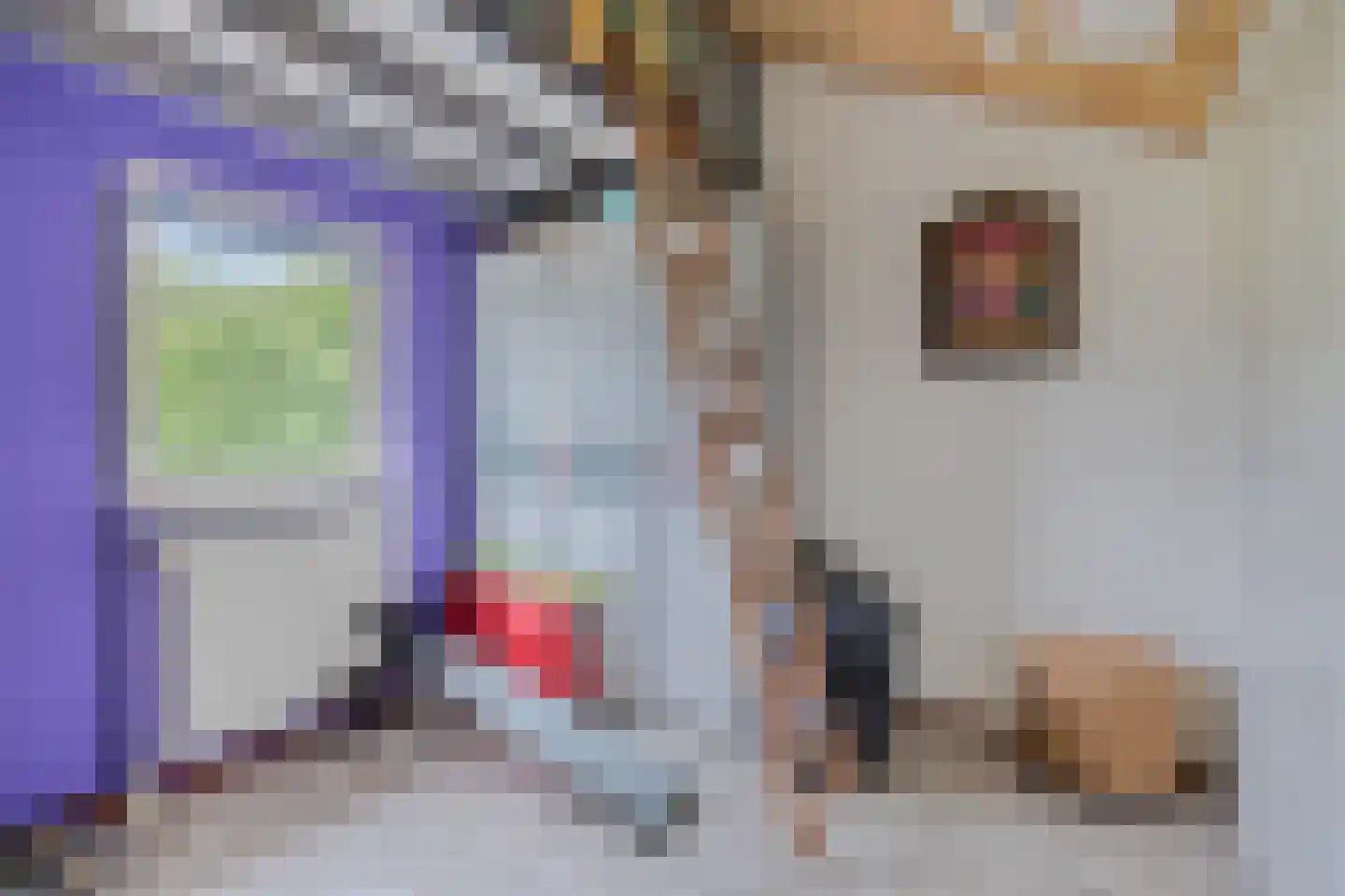 Kleine Vos 26 Breda thumbnail 37