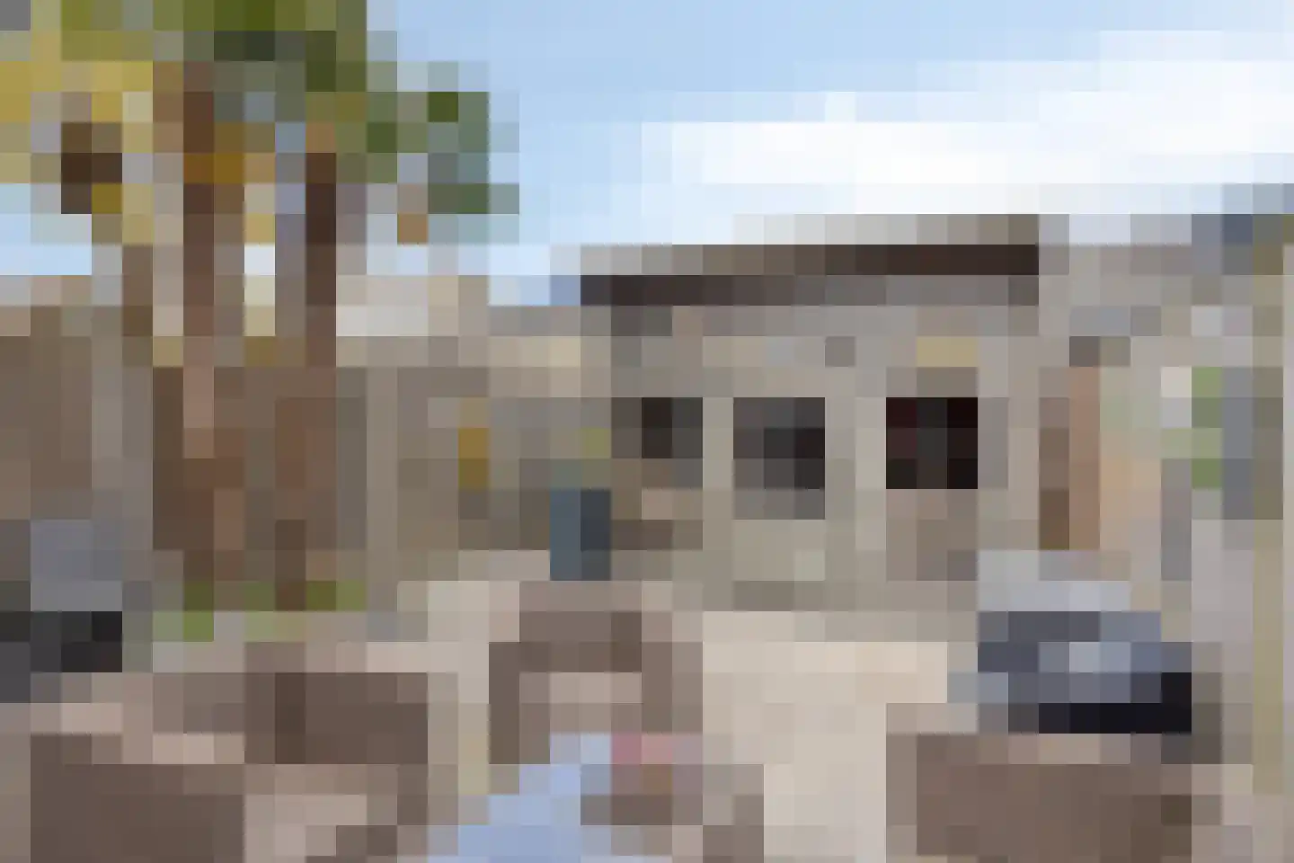 Kleine Vos 26 Breda thumbnail 41