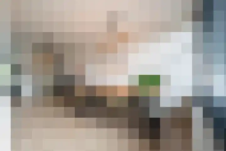 Kleine Vos 27 Breda thumbnail 10