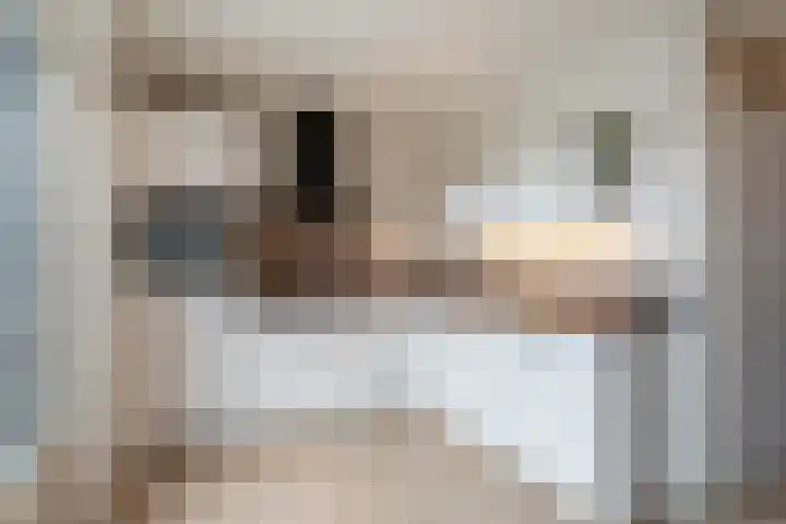Kleine Vos 27 Breda thumbnail 11