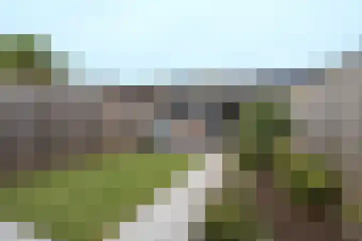 Kleine Vos 27 Breda thumbnail 12