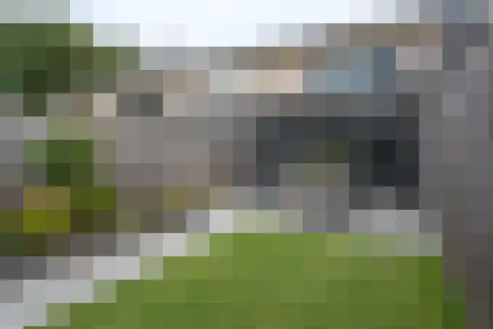 Kleine Vos 27 Breda thumbnail 14