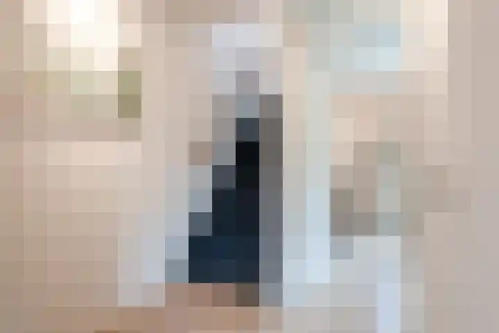 Kleine Vos 27 Breda thumbnail 15