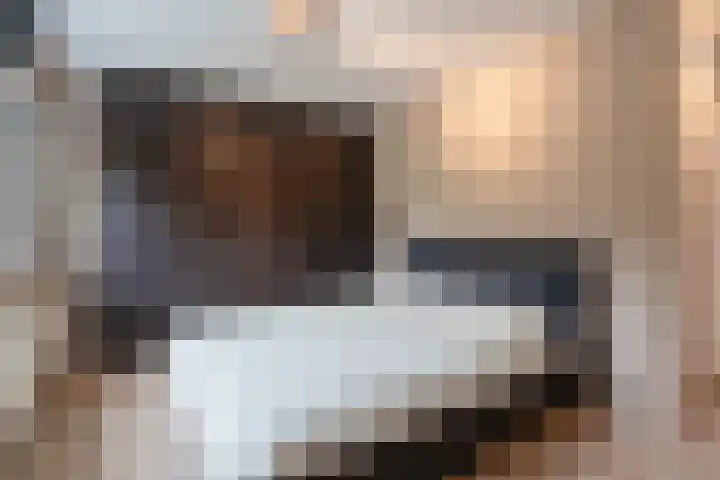 Kleine Vos 27 Breda thumbnail 16
