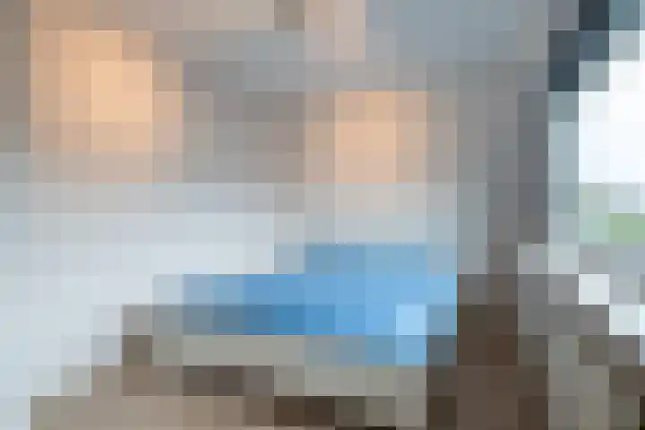 Kleine Vos 27 Breda thumbnail 18