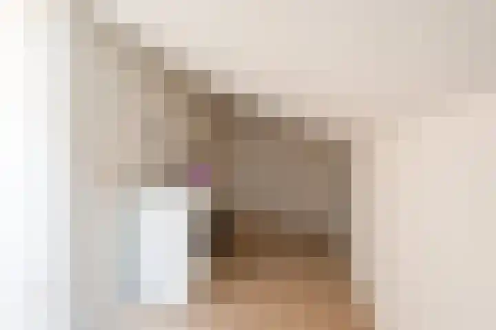 Kleine Vos 27 Breda thumbnail 22