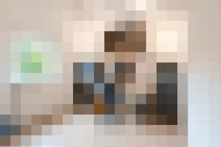 Kleine Vos 27 Breda thumbnail 23