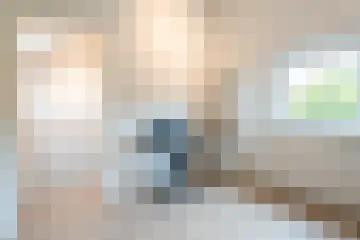 Kleine Vos 27 Breda thumbnail 24