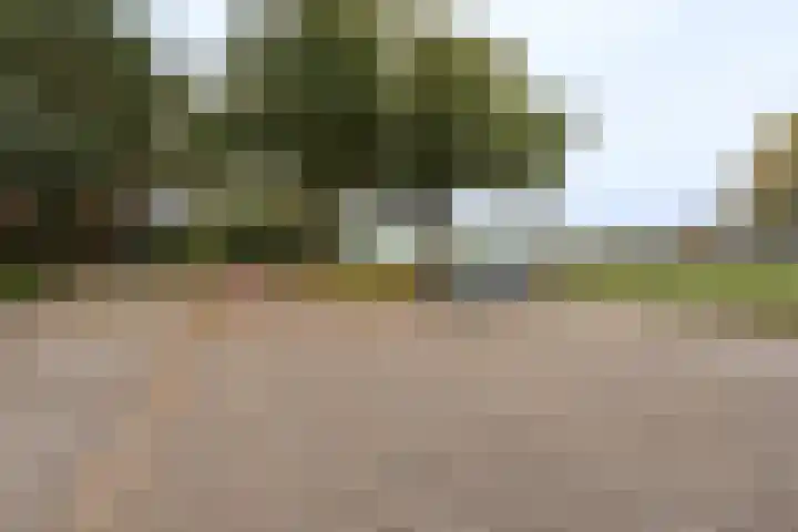 Kleine Vos 27 Breda thumbnail 26