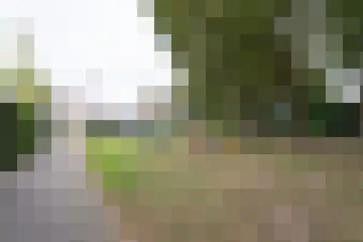Kleine Vos 27 Breda thumbnail 28