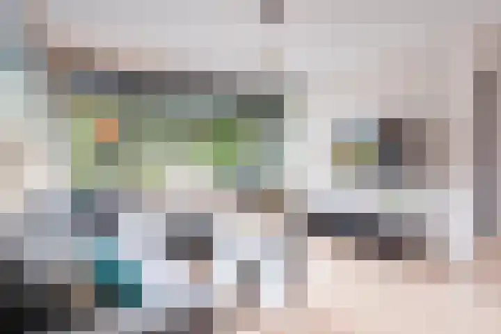 Kleine Vos 27 Breda thumbnail 7