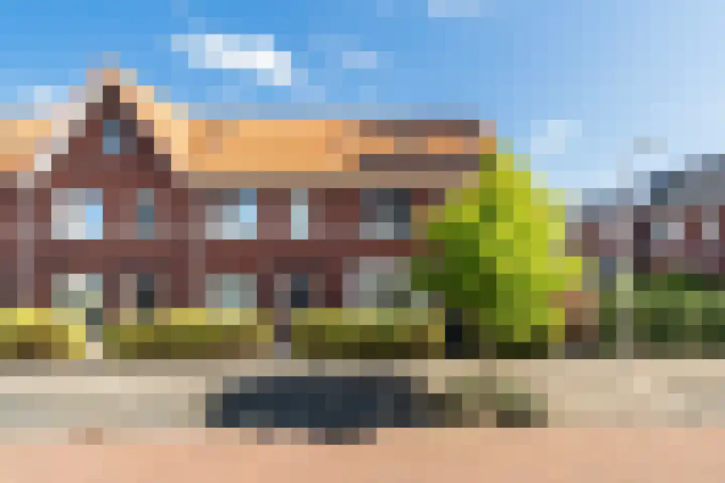 Kleine vos 4 in 's-Gravenzande