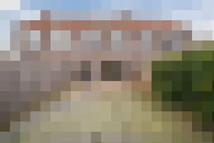 Kleine Vos 4 dans Deurne