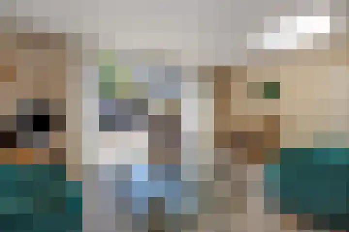 Kleine Vos 4 Deurne thumbnail 14