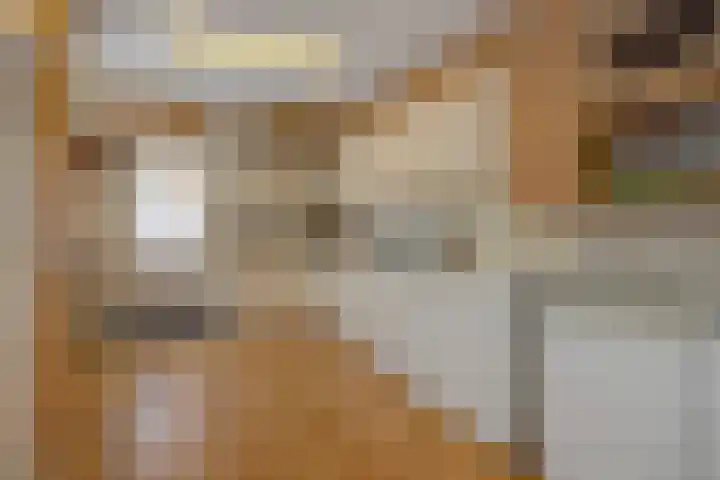Kleine Vos 4 Deurne thumbnail 21