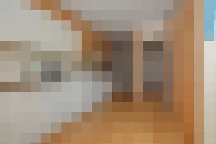 Kleine Vos 4 Deurne thumbnail 22