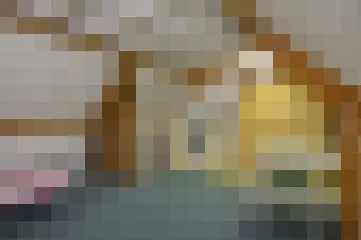 Kleine Vos 4 Deurne thumbnail 31