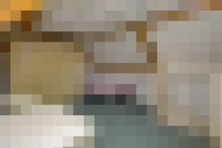 Kleine Vos 4 Deurne thumbnail 32