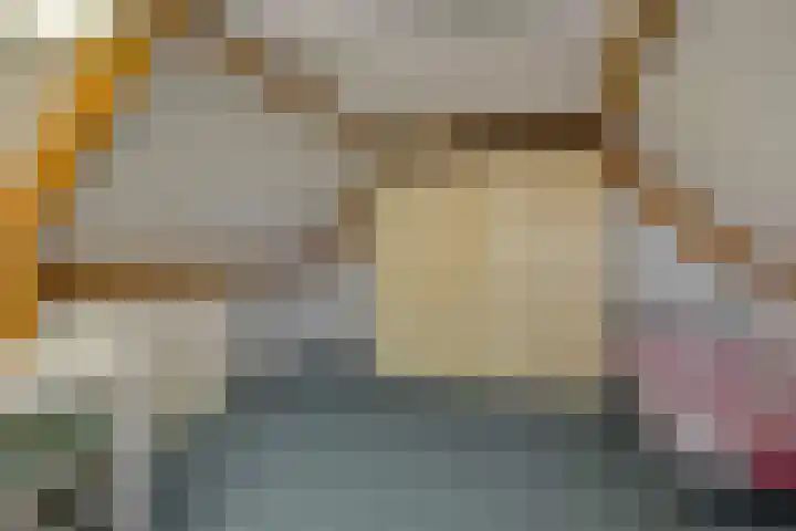 Kleine Vos 4 Deurne thumbnail 33