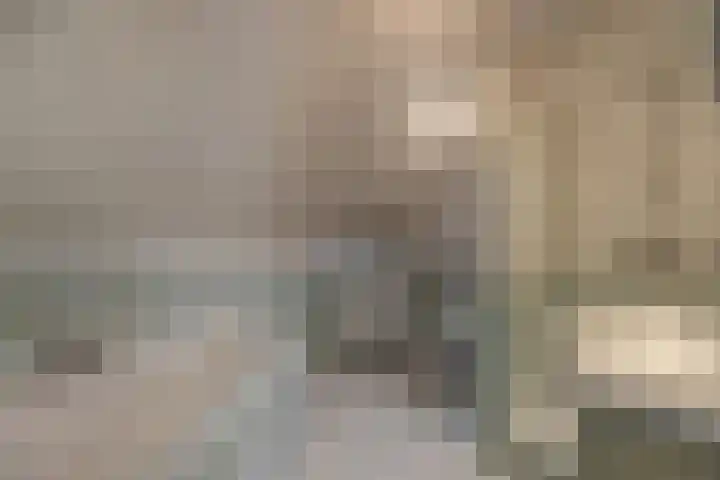 Kleine Vos 4 Deurne thumbnail 4