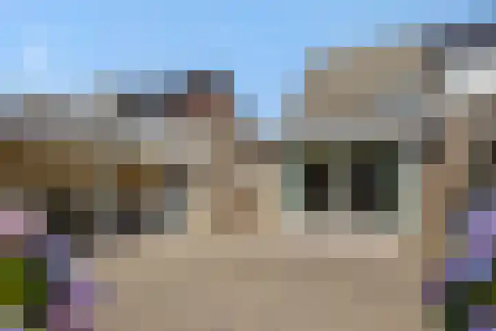 Kleine Vos 4 Deurne thumbnail 5