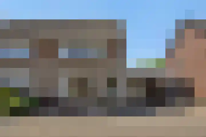 Kleine Vos 4 Deurne thumbnail 6