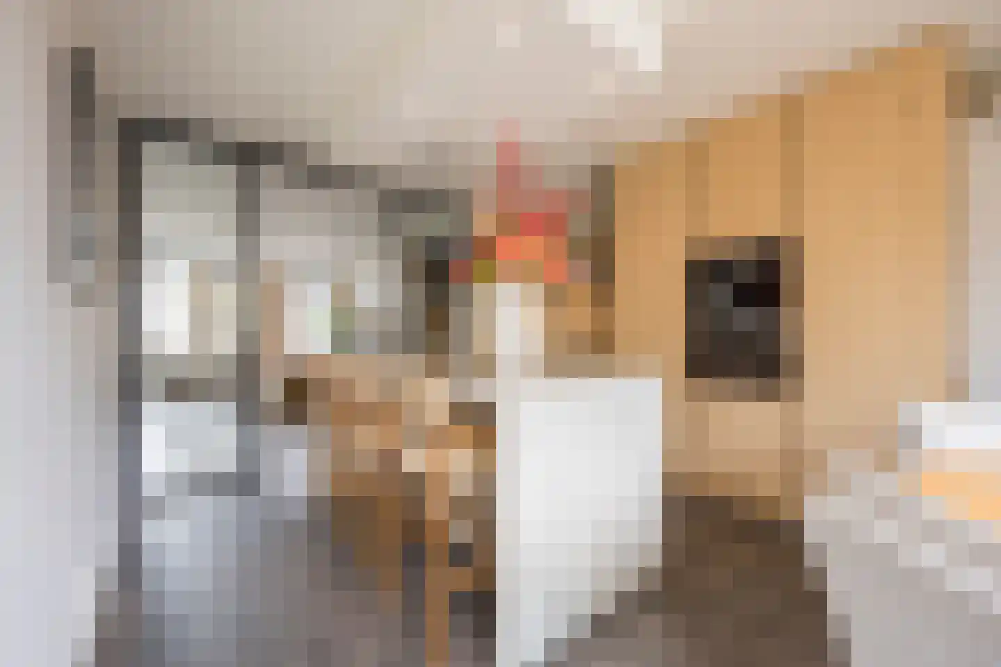 Kleine Vos 4 Nijkerk thumbnail 11