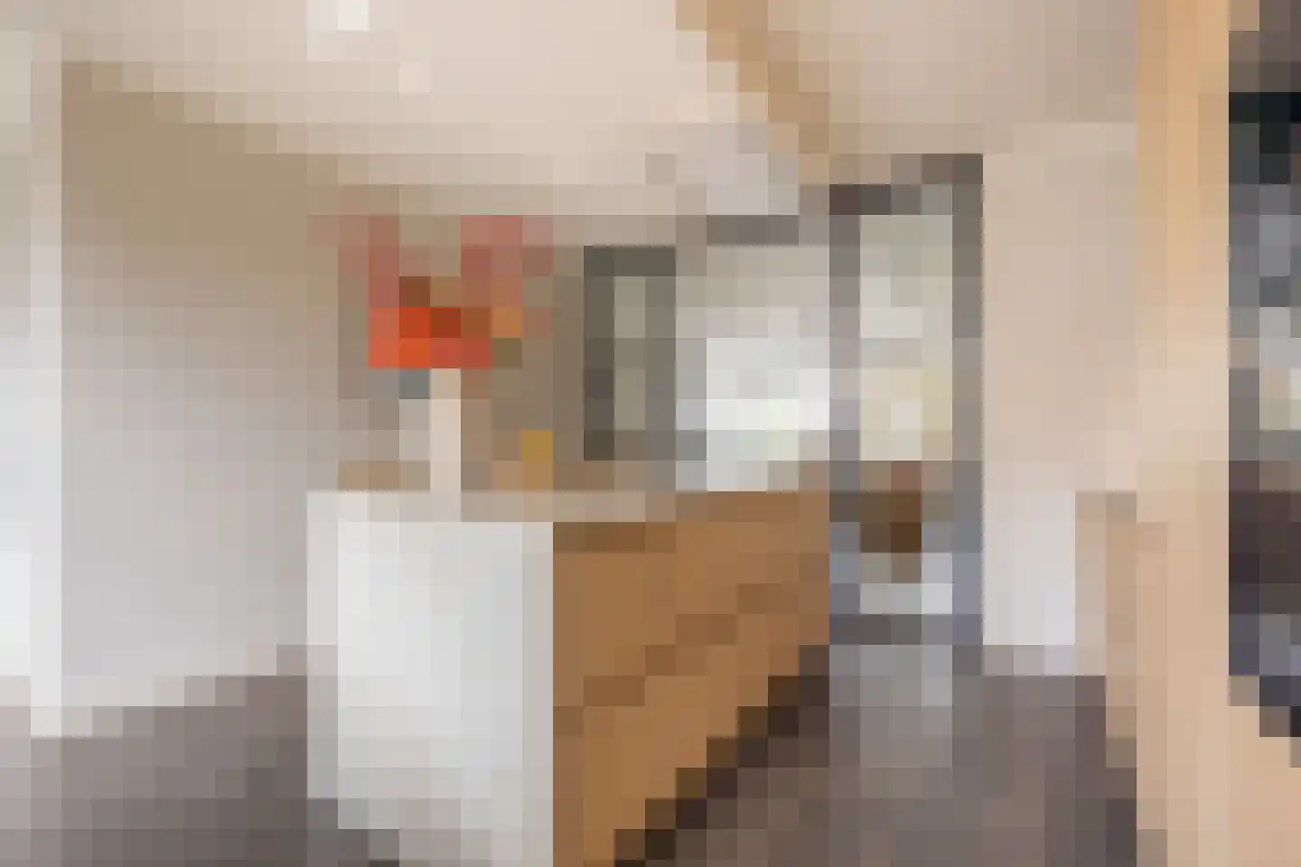 Kleine Vos 4 Nijkerk thumbnail 12