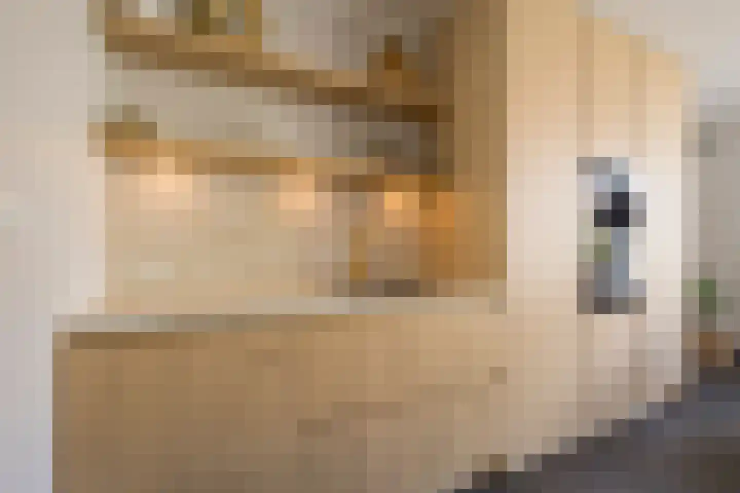 Kleine Vos 4 Nijkerk thumbnail 13