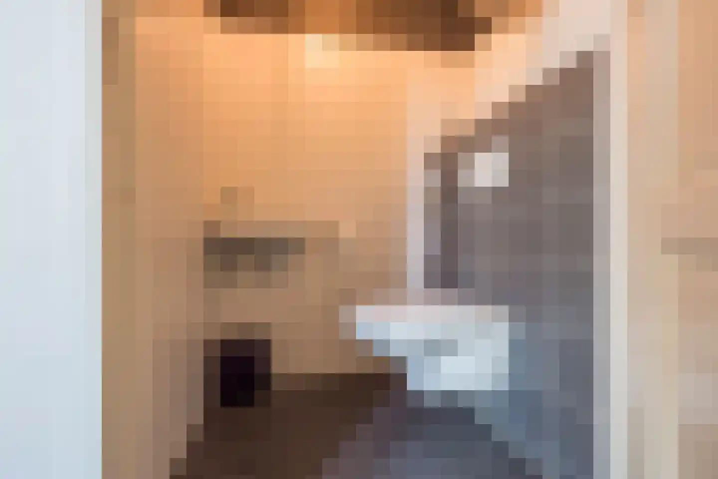 Kleine Vos 4 Nijkerk thumbnail 16