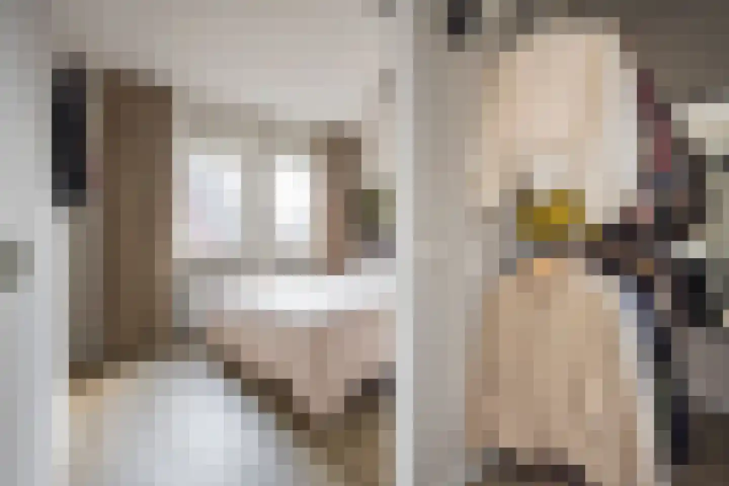 Kleine Vos 4 Nijkerk thumbnail 18