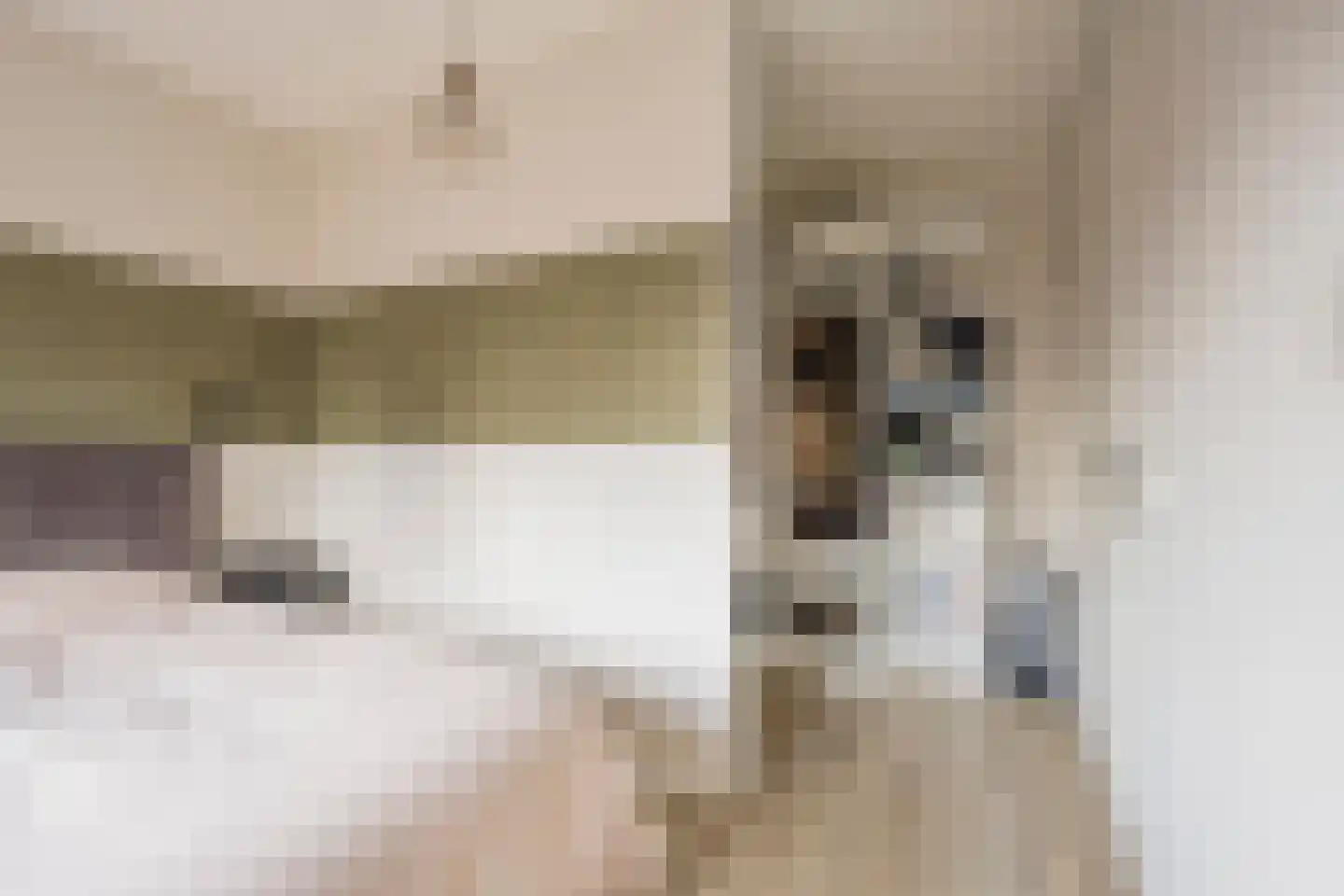 Kleine Vos 4 Nijkerk thumbnail 20