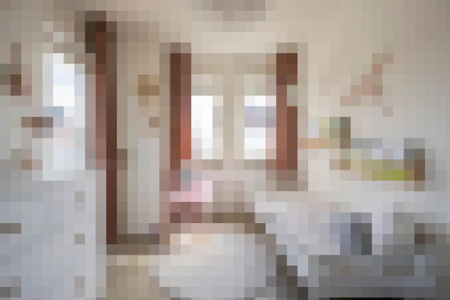 Kleine Vos 4 Nijkerk thumbnail 21