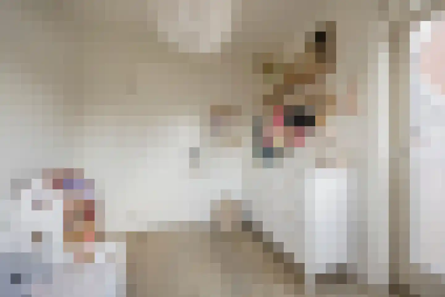 Kleine Vos 4 Nijkerk thumbnail 22