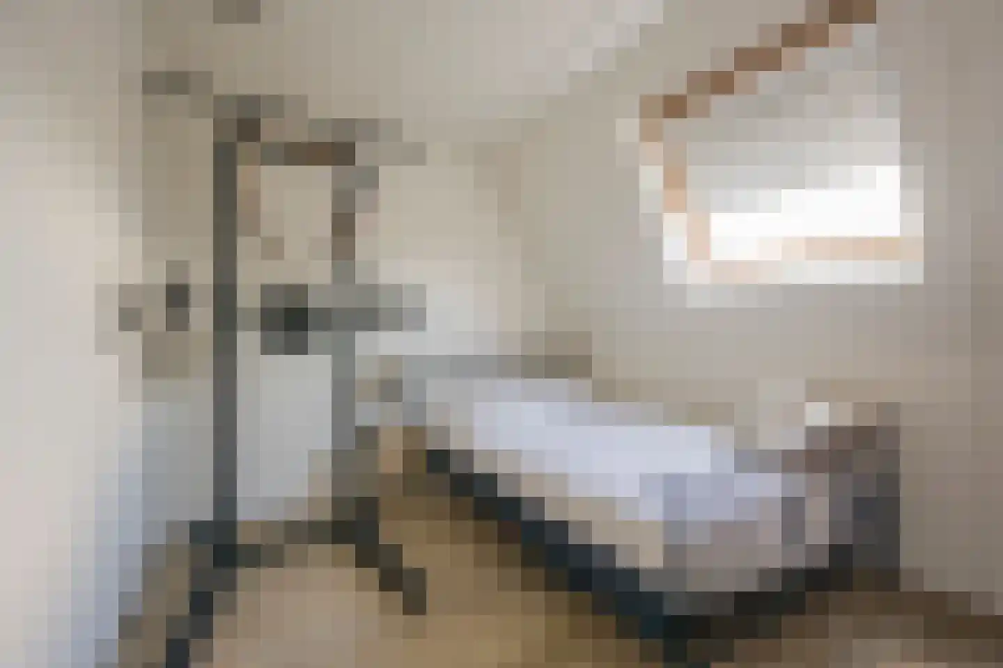 Kleine Vos 4 Nijkerk thumbnail 30