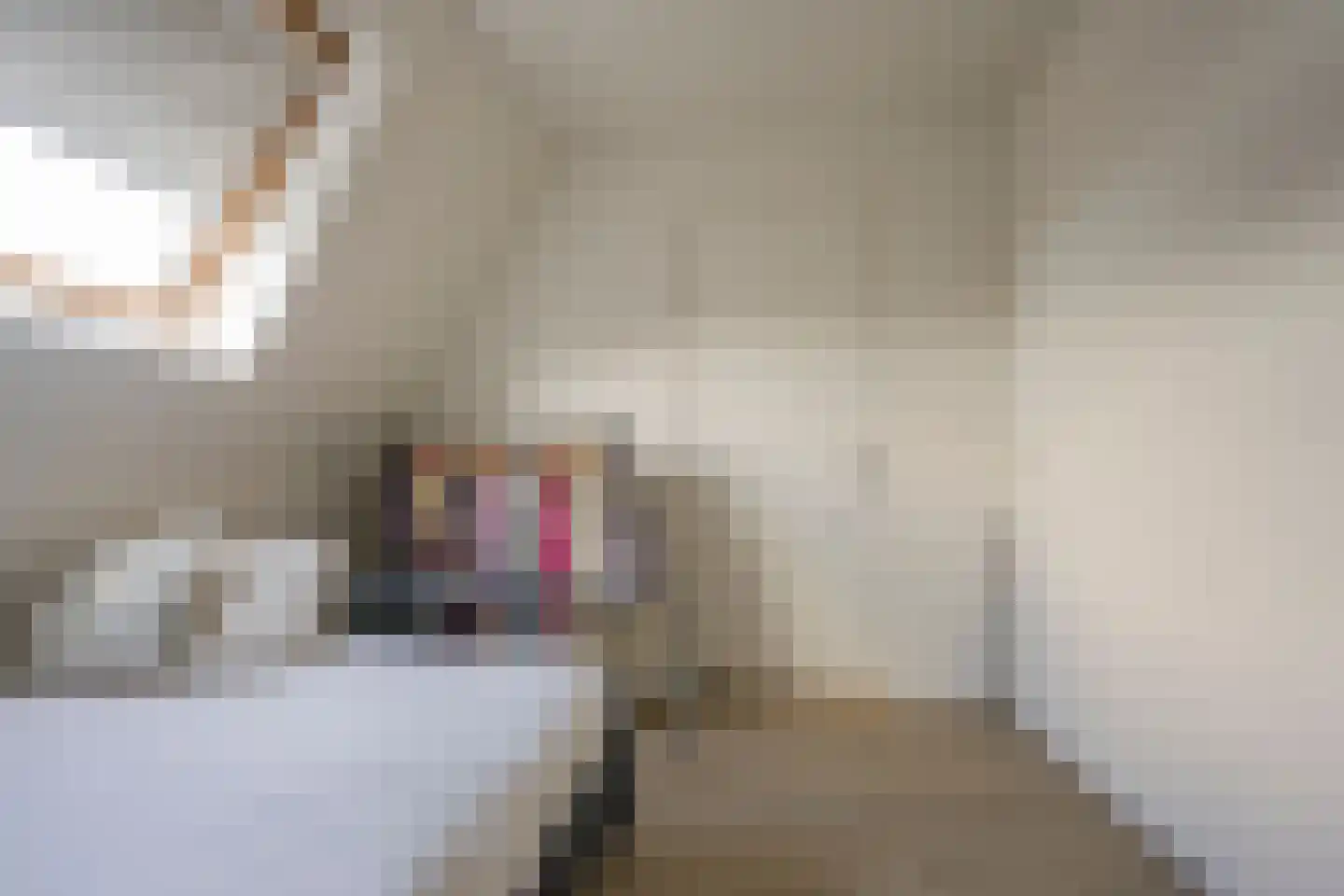 Kleine Vos 4 Nijkerk thumbnail 31