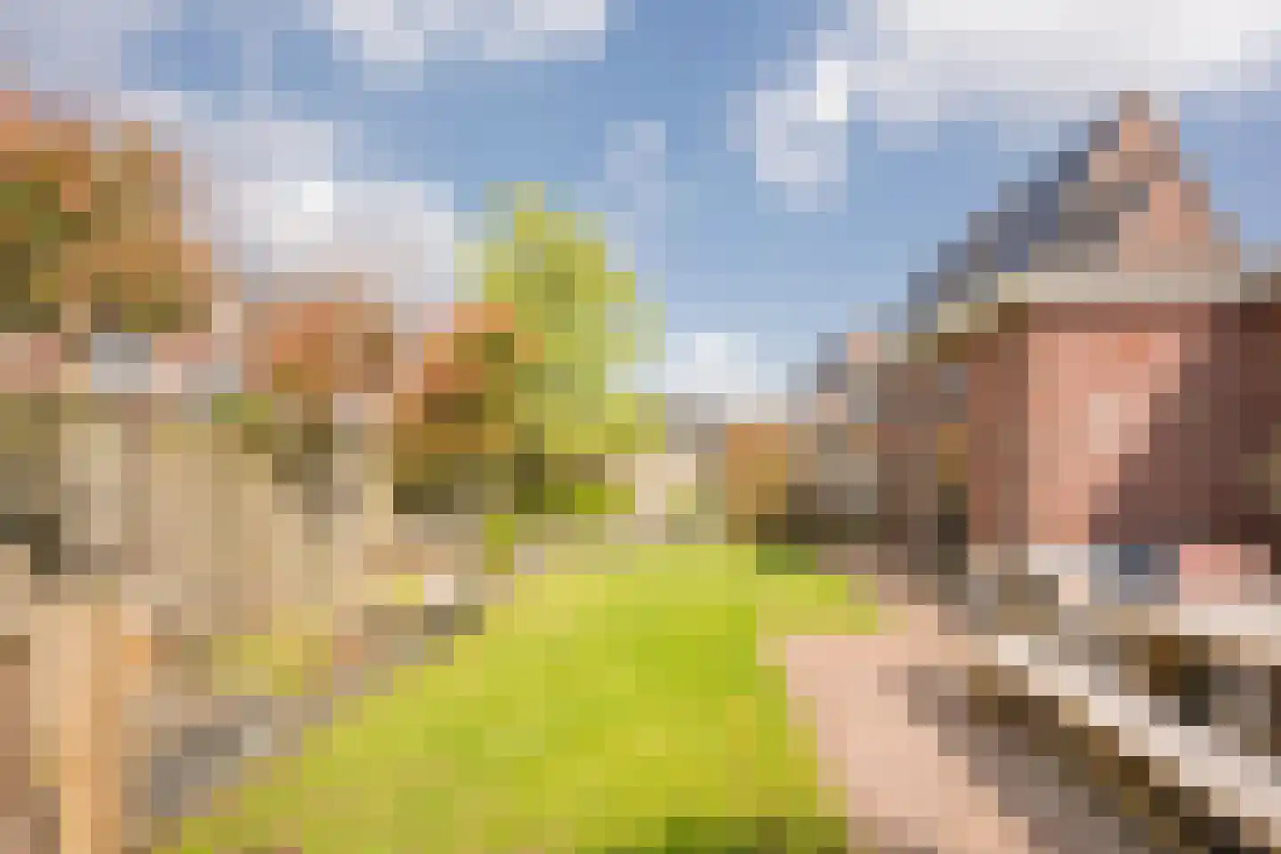 Kleine Vos 4 Nijkerk thumbnail 35